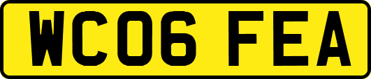 WC06FEA