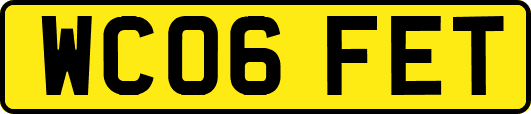 WC06FET
