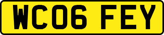 WC06FEY