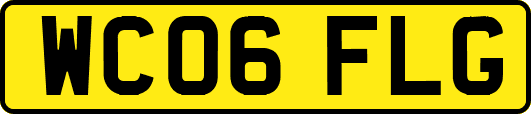 WC06FLG