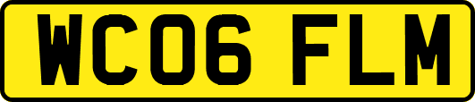 WC06FLM
