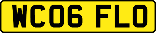 WC06FLO