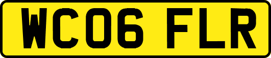 WC06FLR