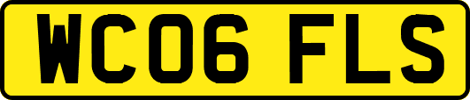 WC06FLS