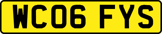 WC06FYS