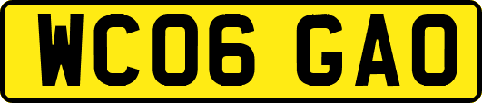 WC06GAO