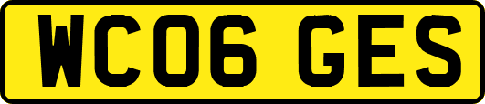 WC06GES
