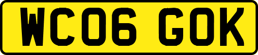 WC06GOK