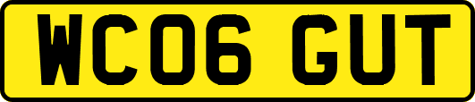 WC06GUT