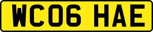 WC06HAE