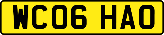 WC06HAO