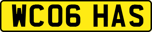 WC06HAS