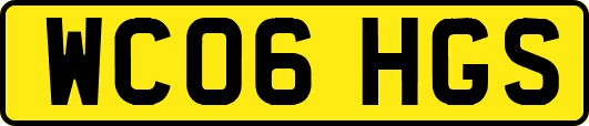 WC06HGS