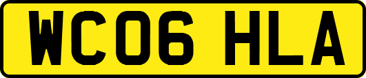 WC06HLA