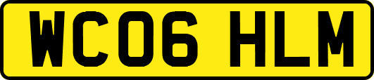 WC06HLM