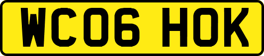 WC06HOK