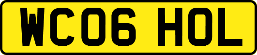 WC06HOL