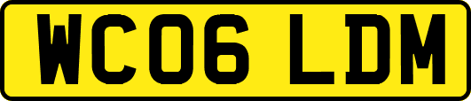 WC06LDM