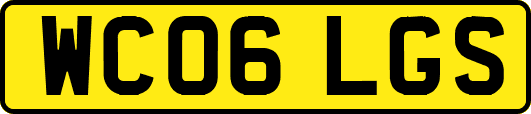 WC06LGS