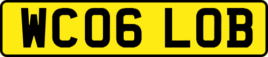 WC06LOB