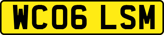 WC06LSM
