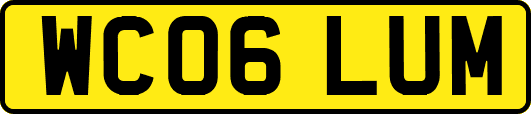 WC06LUM