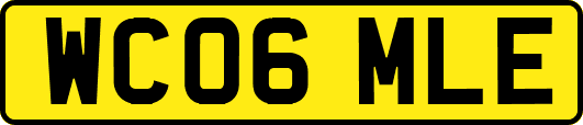 WC06MLE