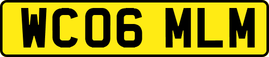 WC06MLM
