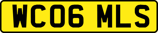 WC06MLS