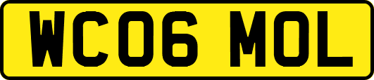 WC06MOL