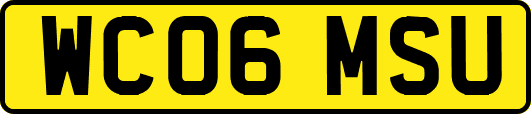 WC06MSU