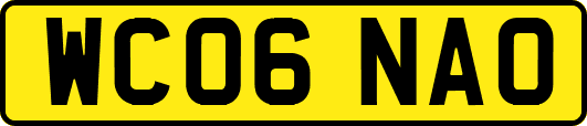 WC06NAO