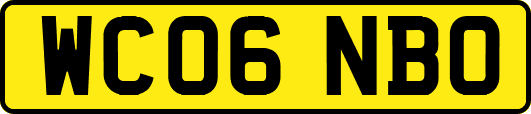 WC06NBO