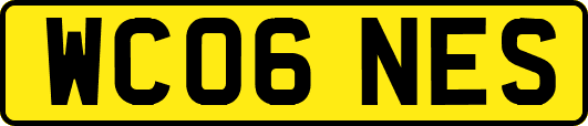 WC06NES