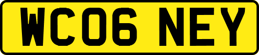 WC06NEY