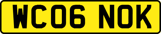 WC06NOK