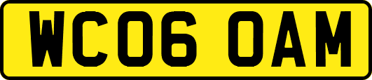 WC06OAM
