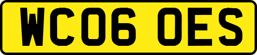 WC06OES