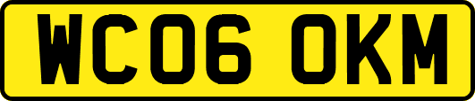 WC06OKM