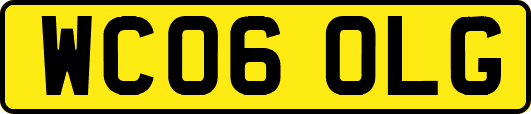 WC06OLG