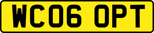 WC06OPT