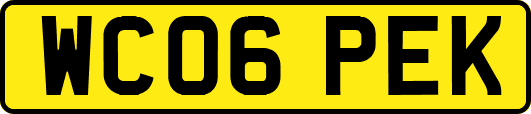 WC06PEK
