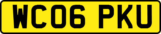 WC06PKU