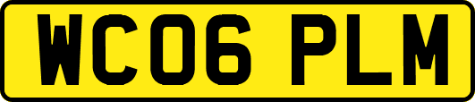 WC06PLM