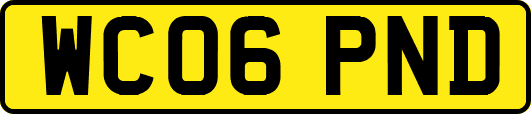 WC06PND