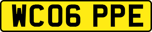WC06PPE