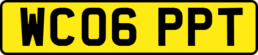 WC06PPT