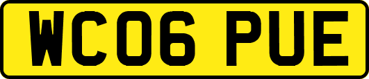 WC06PUE
