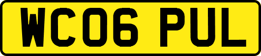 WC06PUL