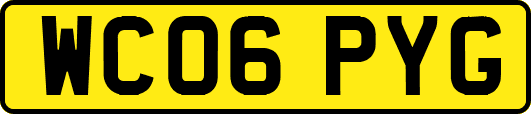 WC06PYG